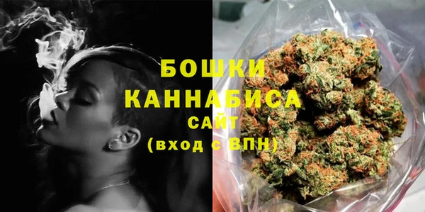 ГАЛЛЮЦИНОГЕННЫЕ ГРИБЫ Алексин