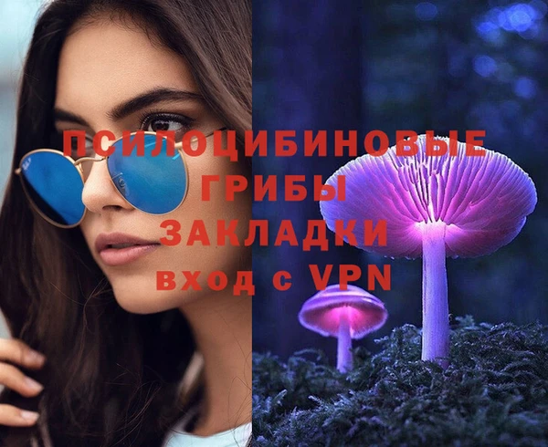 ГАЛЛЮЦИНОГЕННЫЕ ГРИБЫ Алексин
