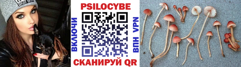 Псилоцибиновые грибы Psilocybine cubensis  Трёхгорный 